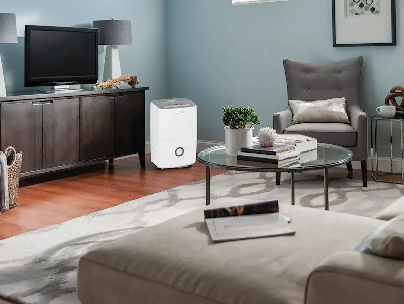 How To Keep Your Dehumidifier Running Safely While You’re Away