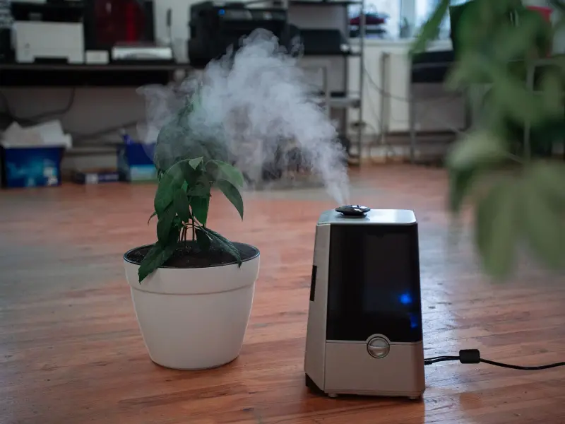Why Should You Turn Off Your Humidifier in the Summer