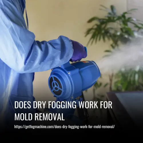 Read more about the article Does Dry Fogging Work for Mold Removal