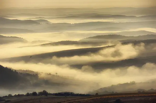 Types of Fog - Radiation Fog