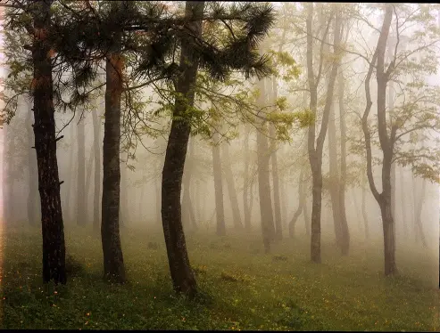 Types of Fog - Upslope Fog