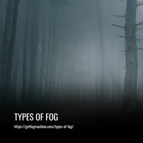 Read more about the article Types of Fog: A Comprehensive Guide