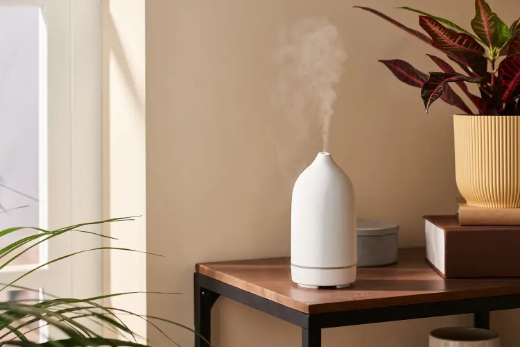 Why Use a Humidifier without a Filter - Quiet operation